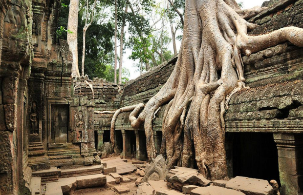 Ta Prohm Temple