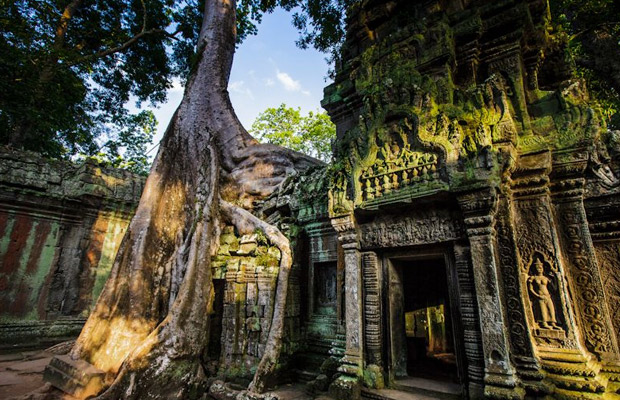 5-Days Tours