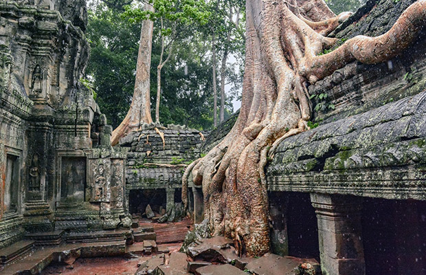 Temples & City explorer Tour